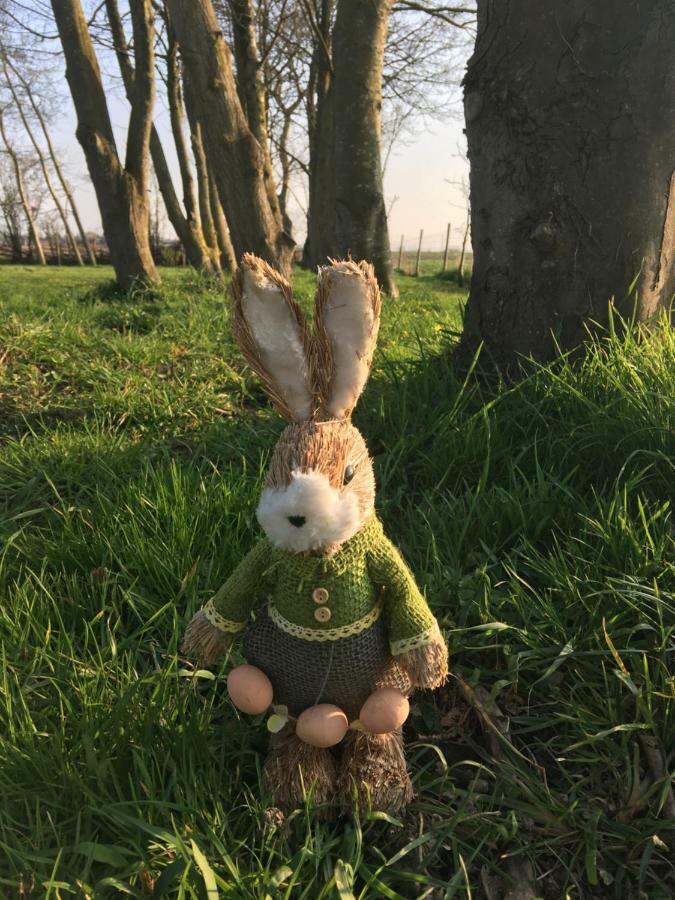 Noordpeene Au Coeur De La Flandre 아파트 외부 사진